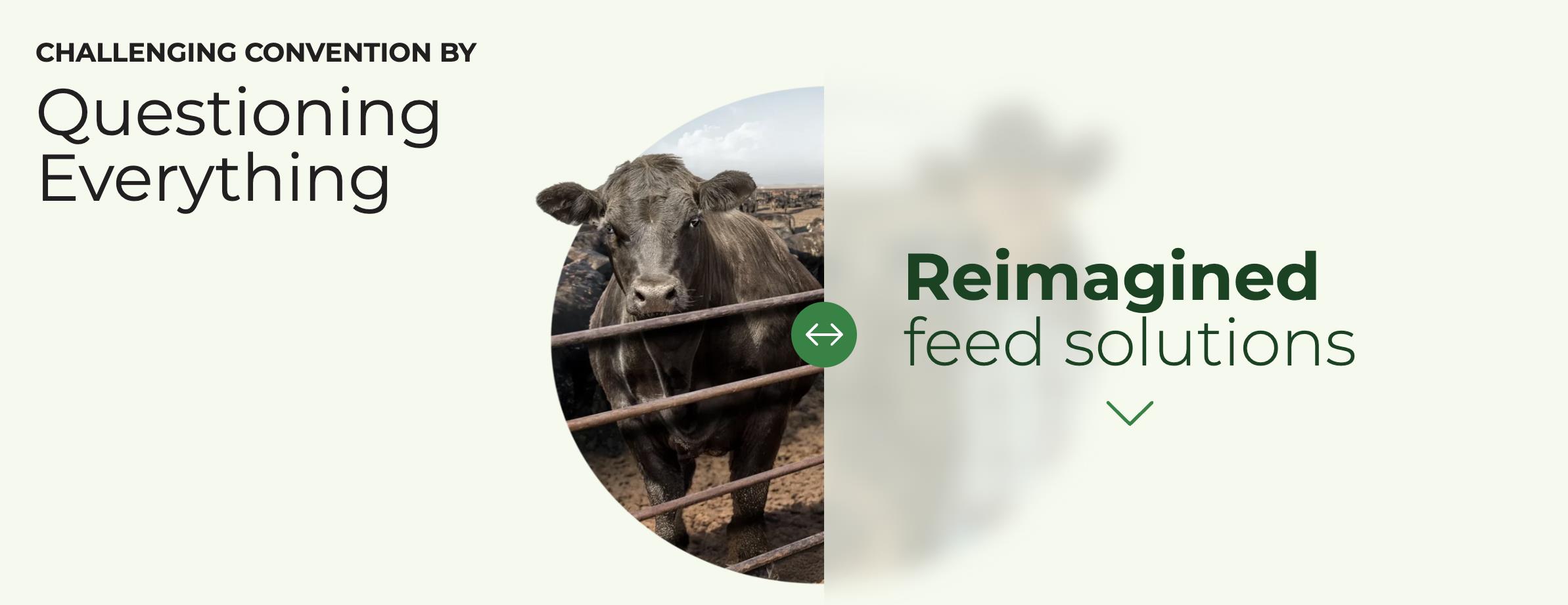 Cargill Branded Feed Web Redesign
